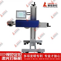 Machine à gravure laser en fibre avec ordinateur